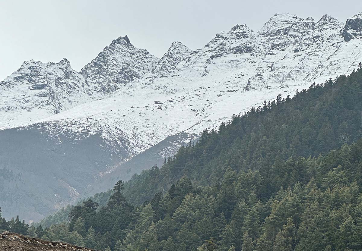 जरुरी नभएसम्म यात्रा नगर्नु : विपद् जोखिम न्यूनीकरण तथा व्यवस्थापन प्राधिकरण