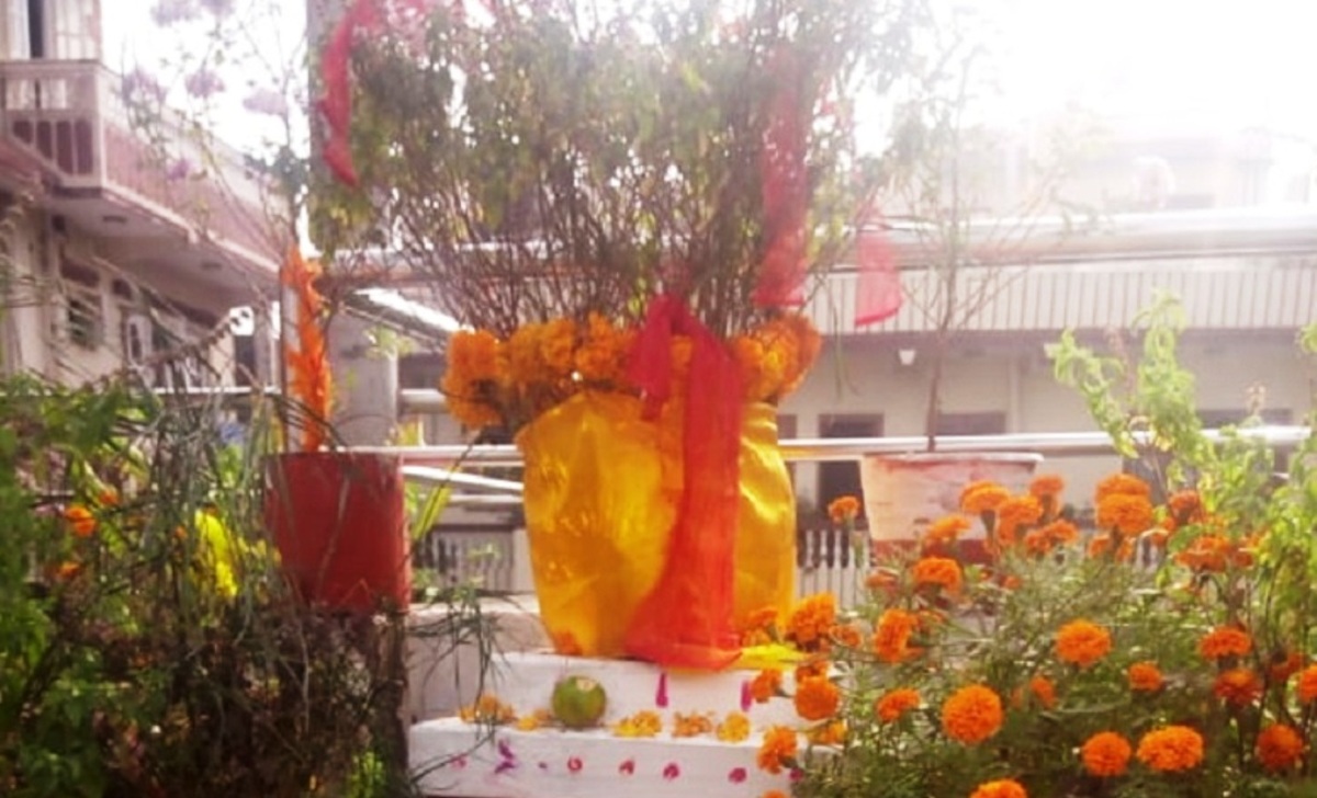 आज हरिबोधिनी एकादशी, तुलसीको व्रत र पूजा गरी मनाइँदै