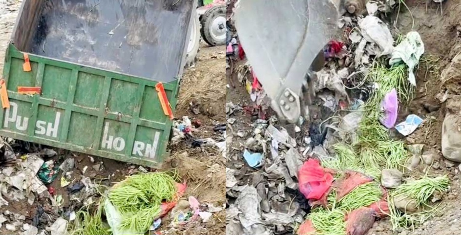 चितवनबाट बुटवल ल्याइएको बोडीमा उच्च विषादी, १२० केजी नष्ट