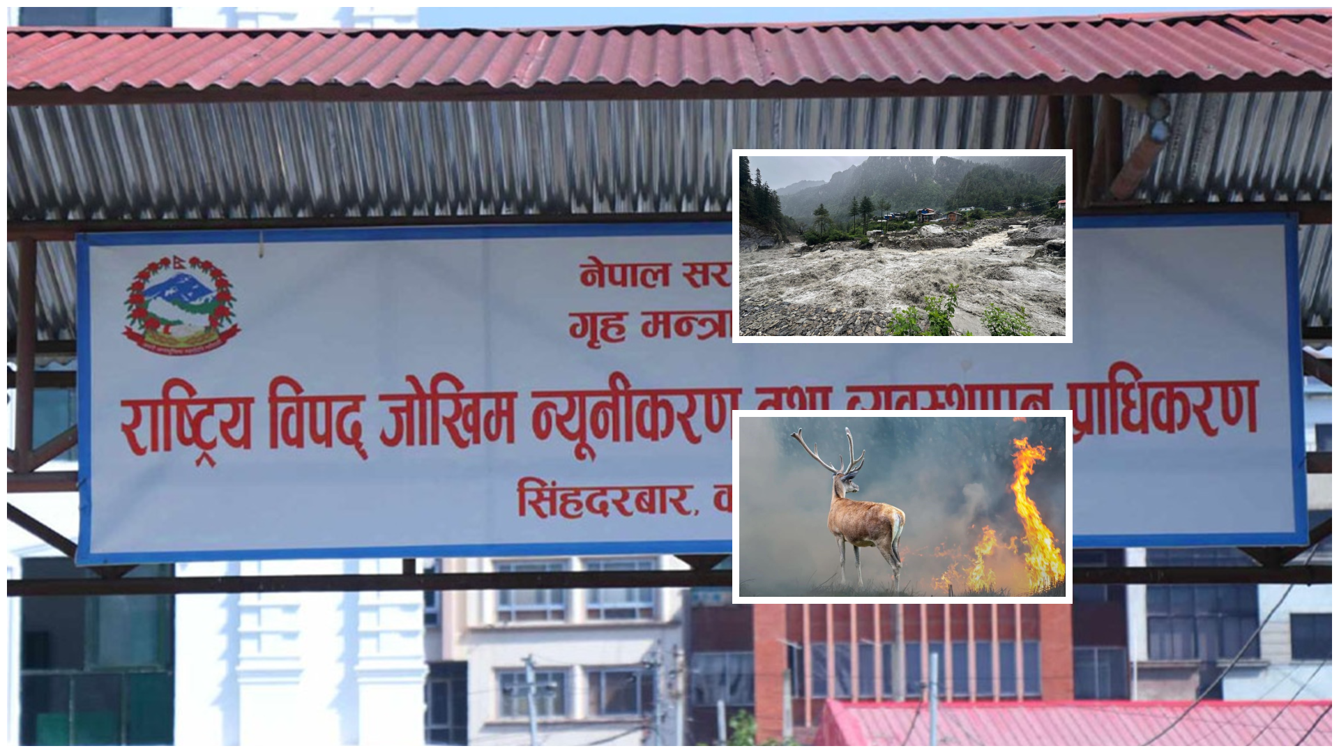 दुई महिना नपुग्दै विपद्का १८ सय बढी घटना, ८६ जनाको मृत्यु